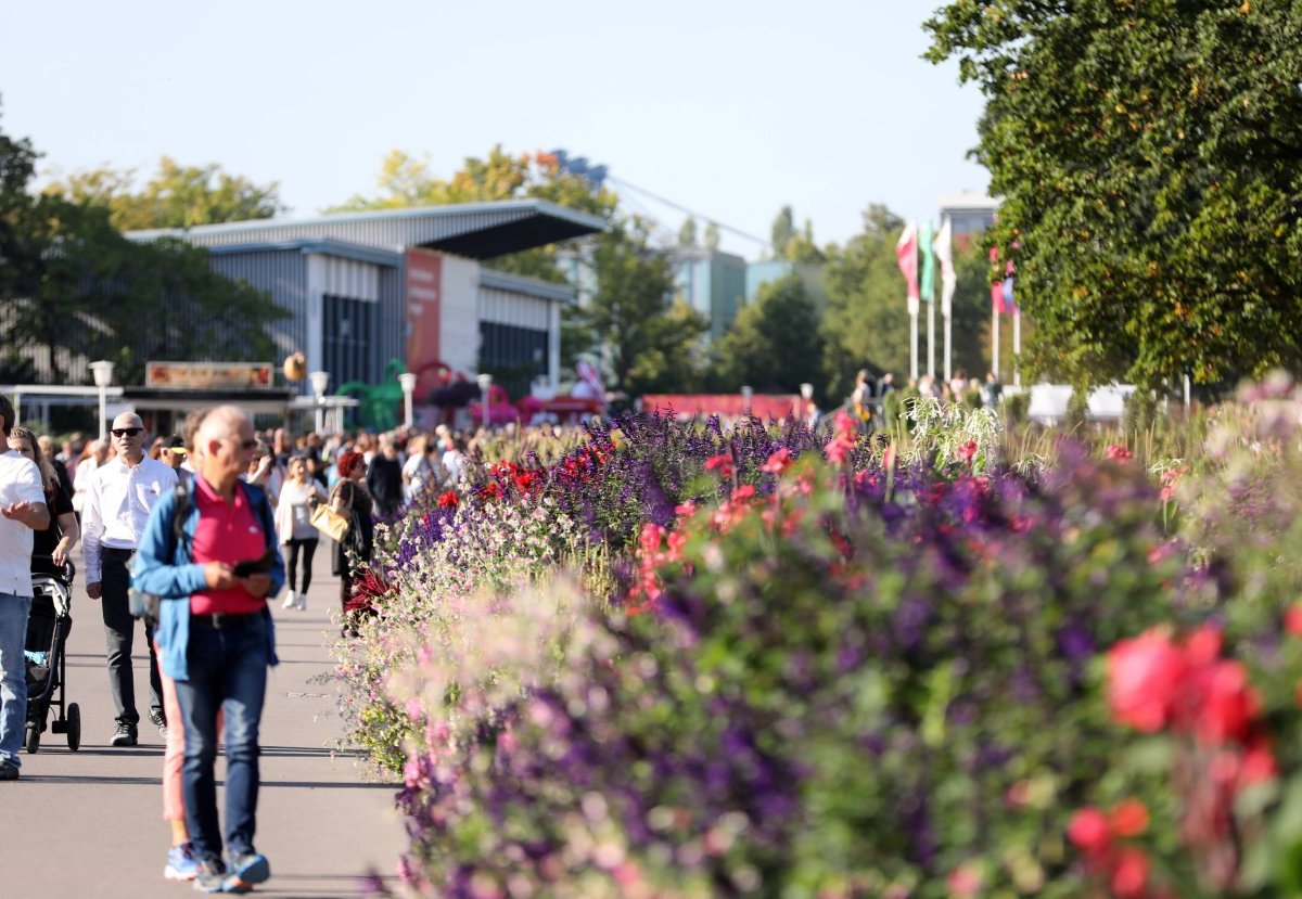 Erfurt-egapark.jpg