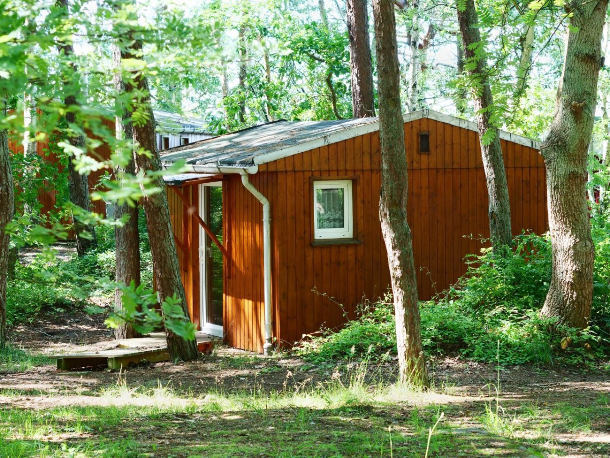 Thüringer-Wald-Urlaub.jpg