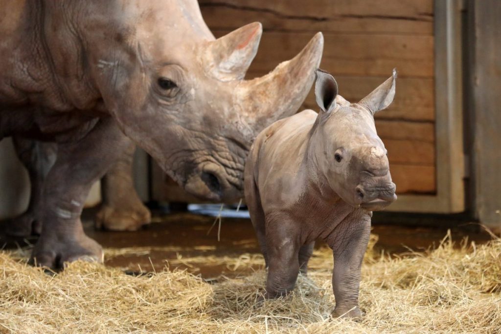 Zoo Erfurt