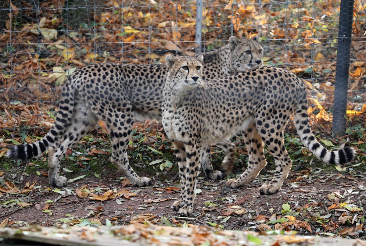 Zoo Erfurt