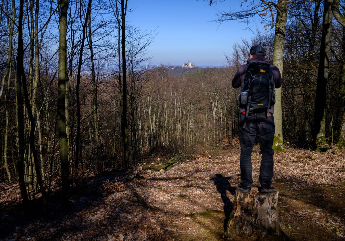 Ein Wanderweg im Thüringer Wald erstrahlt im neuen Gewand. (Symbolbild)