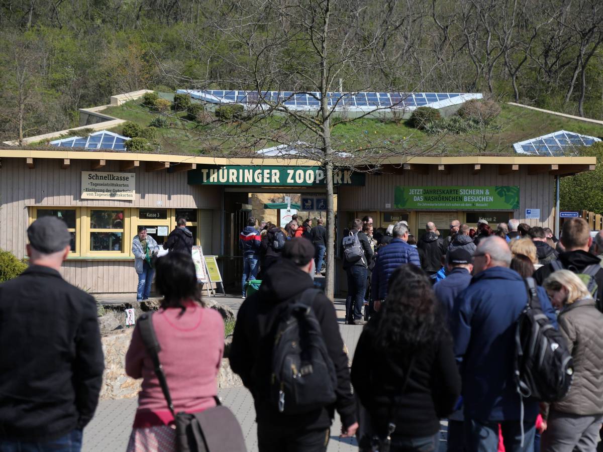 Der Zoo Erfurt hat eine besondere Aktion gestartet – aber nicht jeder kann sich darüber freuen. (Archivbild)