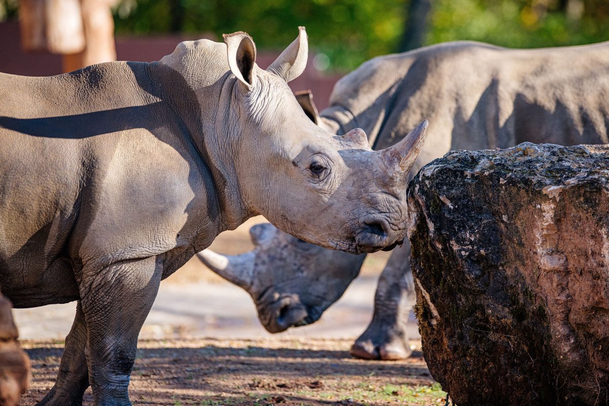 Zoo Erfurt