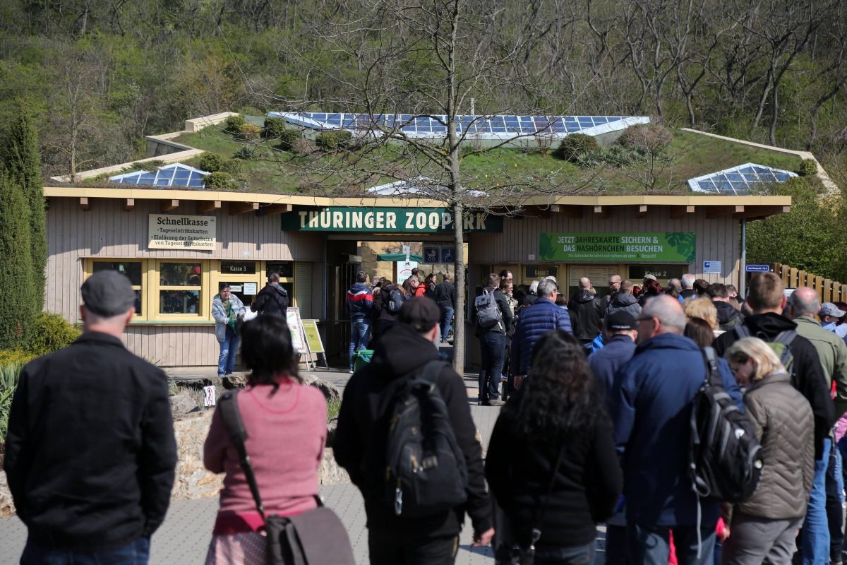 Der Erfurter Zoo kommt mit einer Neuerung im die Ecke! (Archivbild)