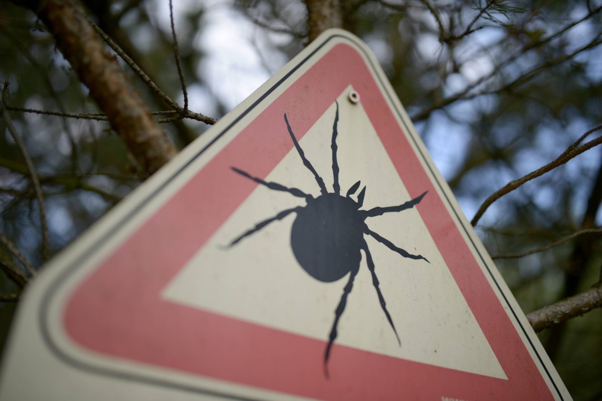 Auch in Thüringen lauert die Zecken-Gefahr.