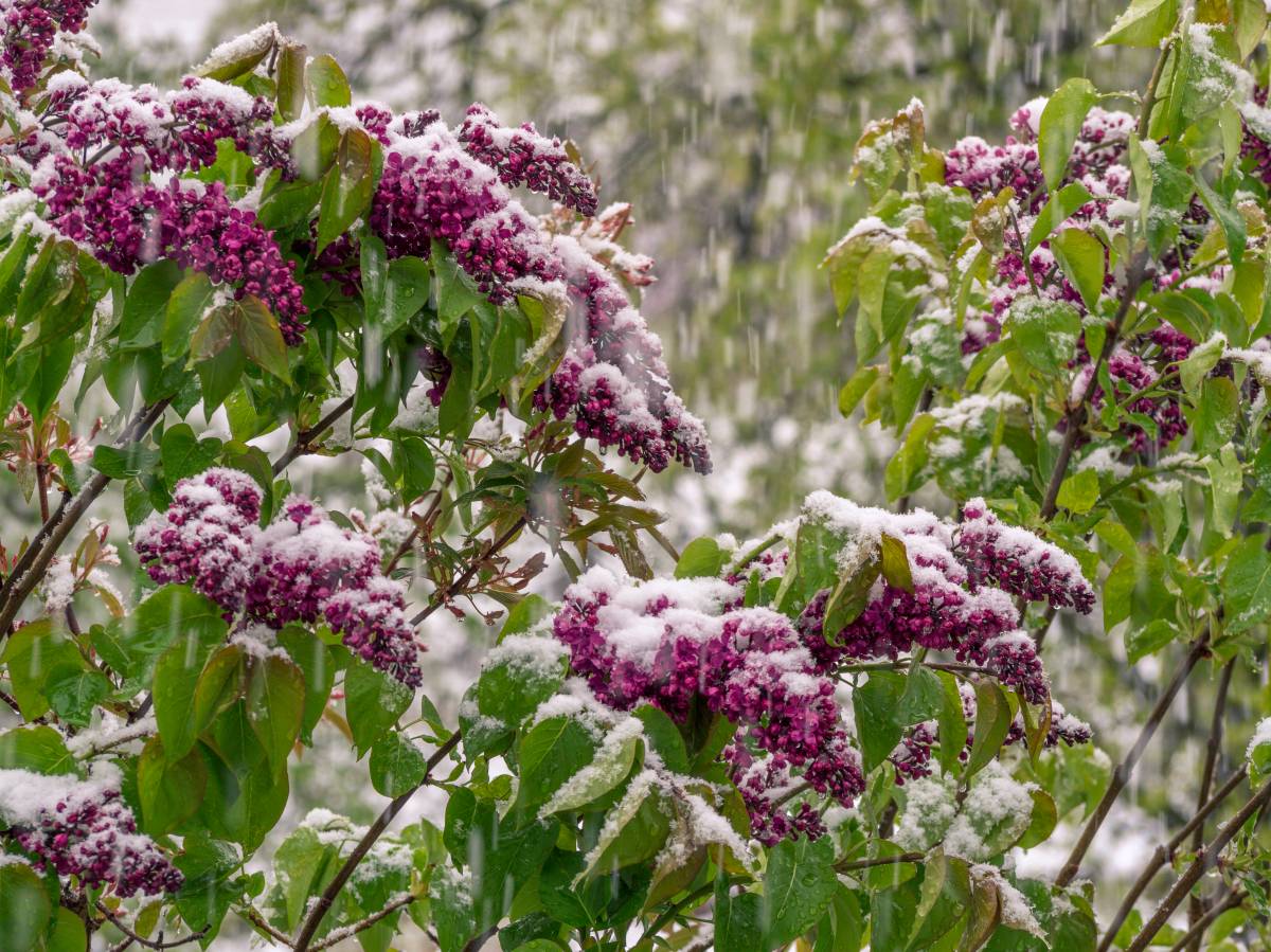 Wetter in Thueringen