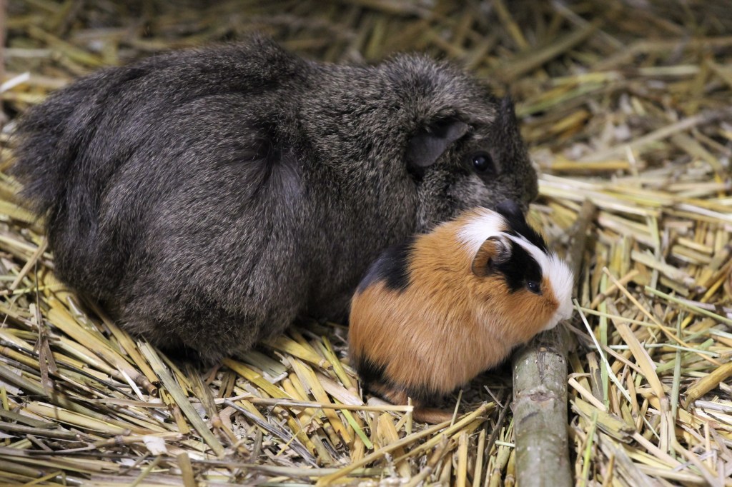 Zoo Erfurt