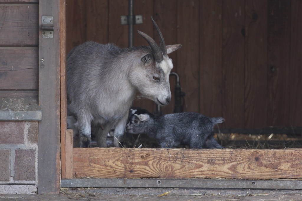 Zoo Erfurt