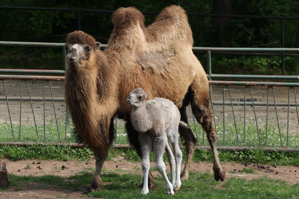 Zoo Erfurt