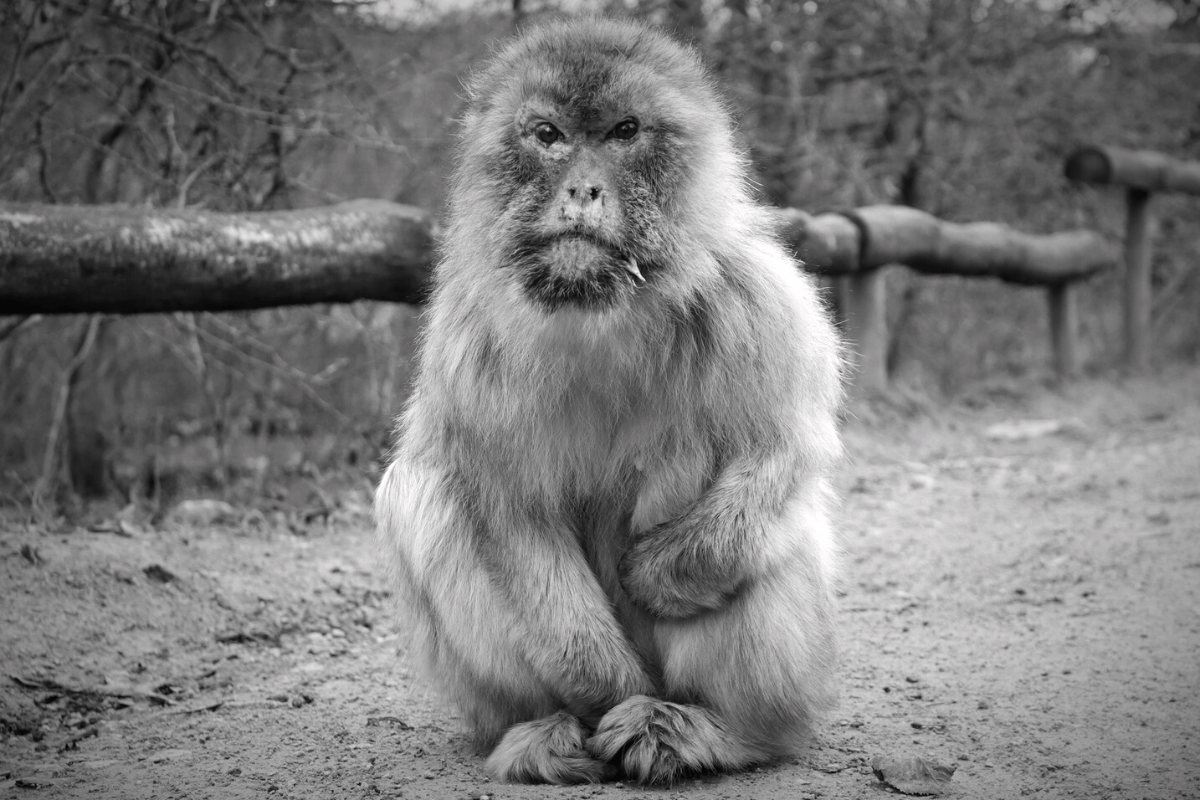 zoo erfurt