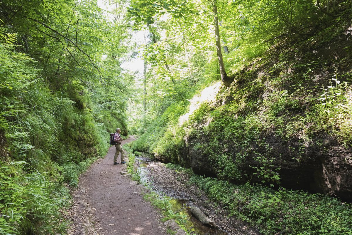 thueringer wald