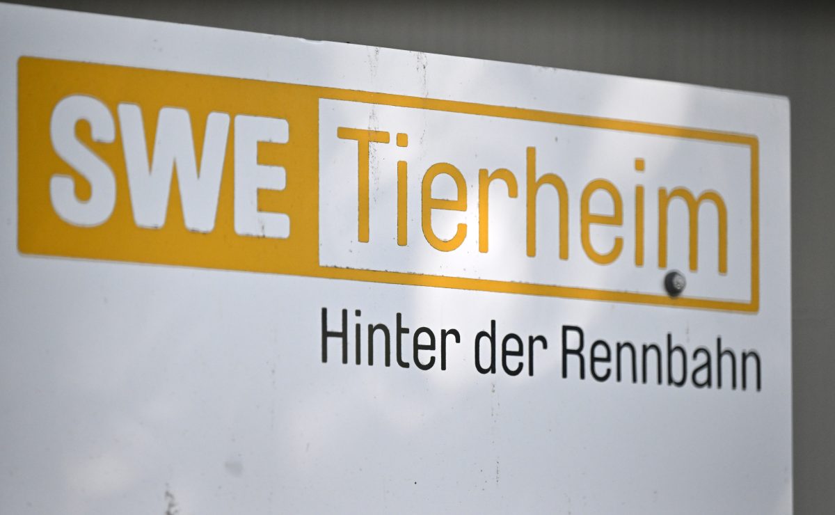 Schild Tierheim Erfurt