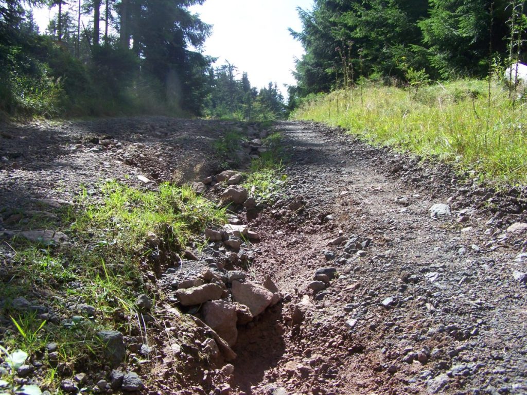 Thueringer Wald Wegschaeden