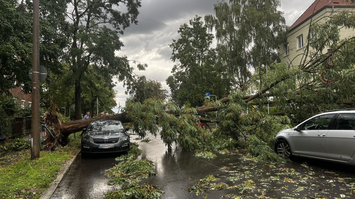 unwetter erfurt