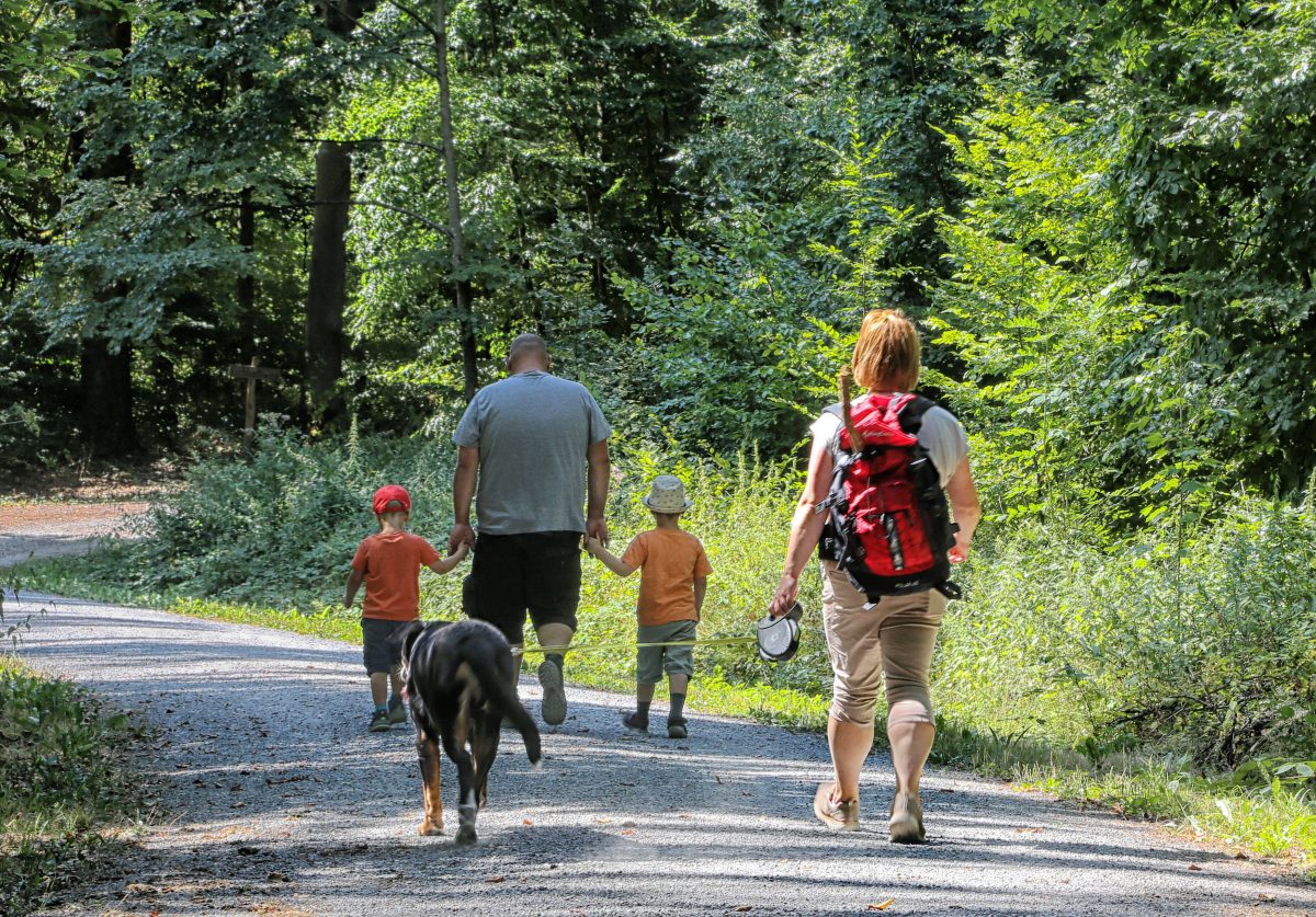 Spaziergänger im Sommer im Wald