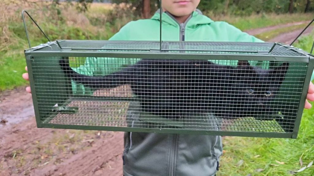 Trauriger Fund in Thüringen. Diese Kätzchen fand eine Wanderin Wald.