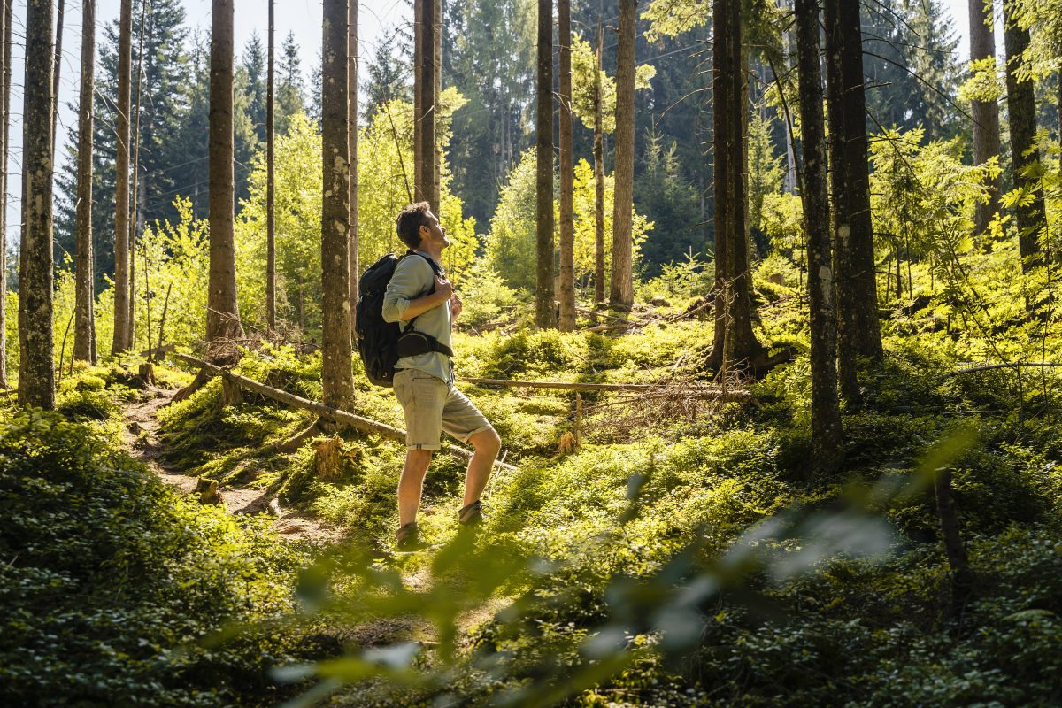 Mann im Wald