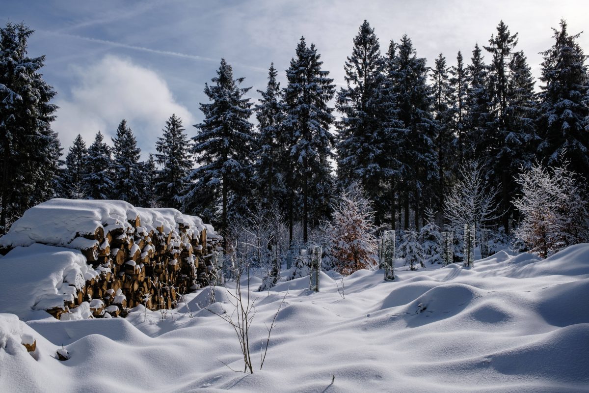 Wetter in Thüringen