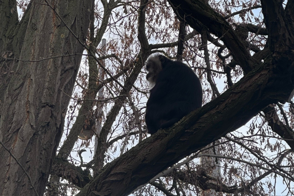 zoo leipzig