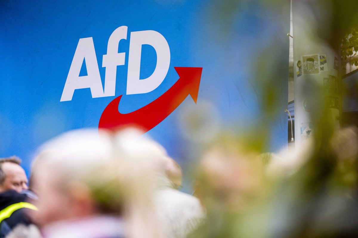 afd thueringen