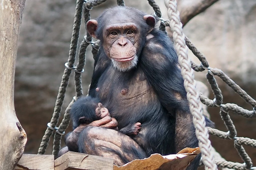 zoo leipzig