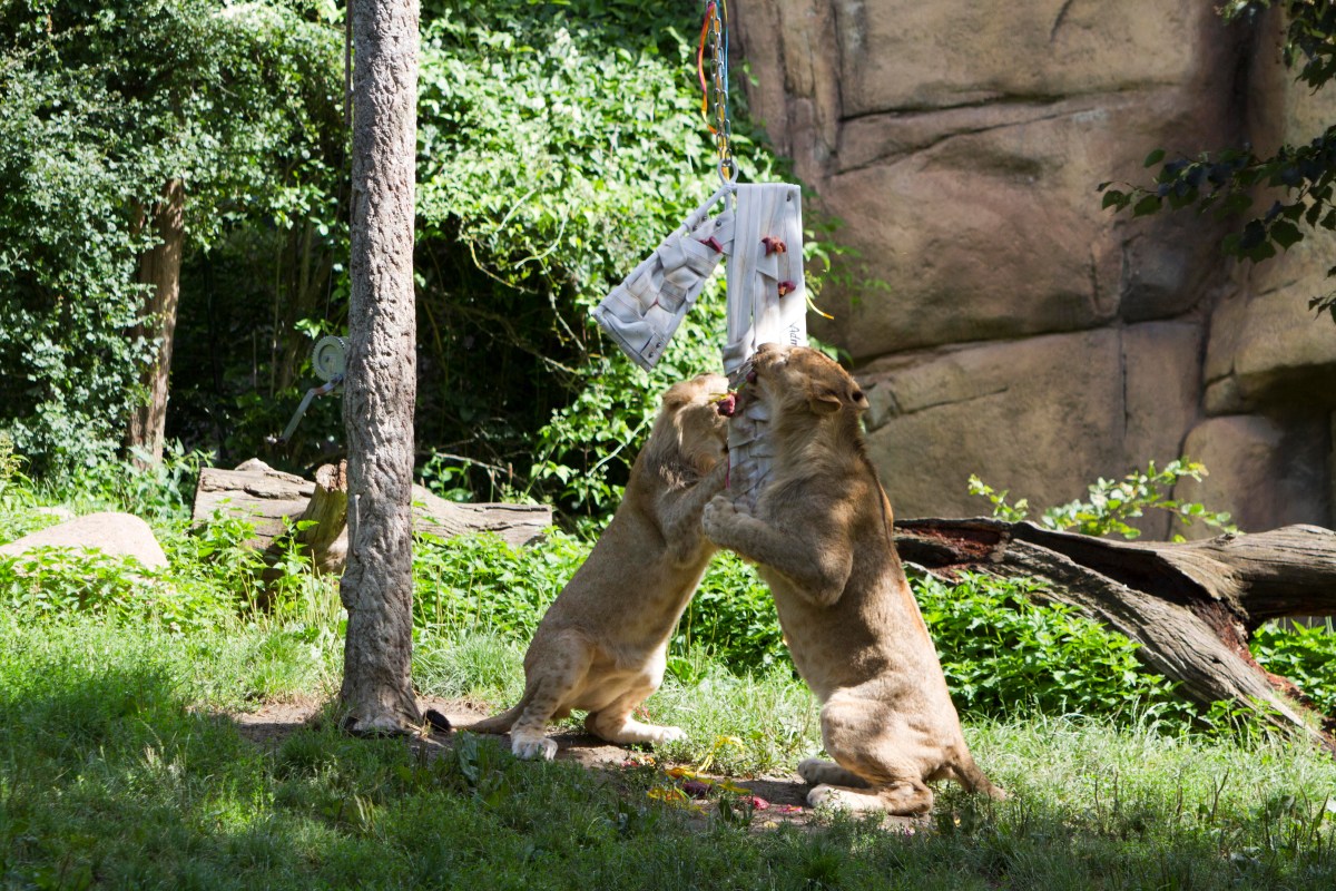 zoo leipzig