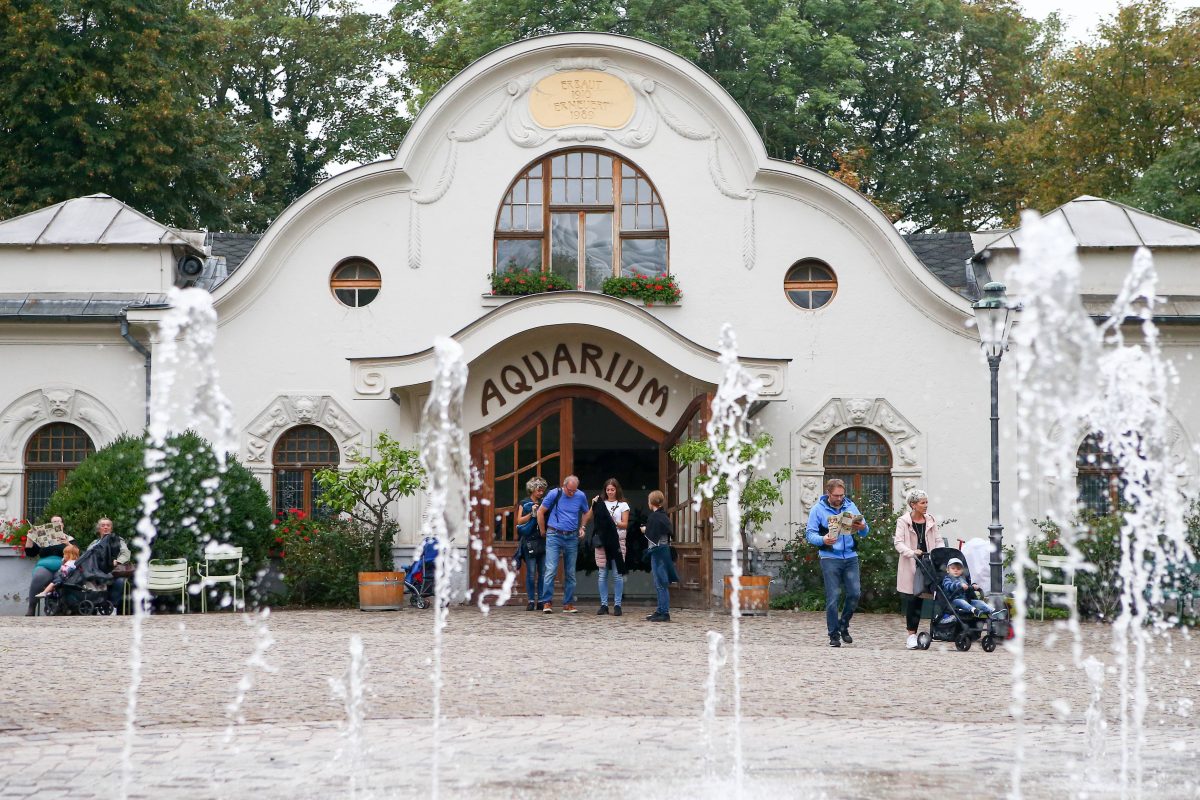 Ein Anblick bleibt den Besuchern des Zoo Leipzig für immer verwehrt.