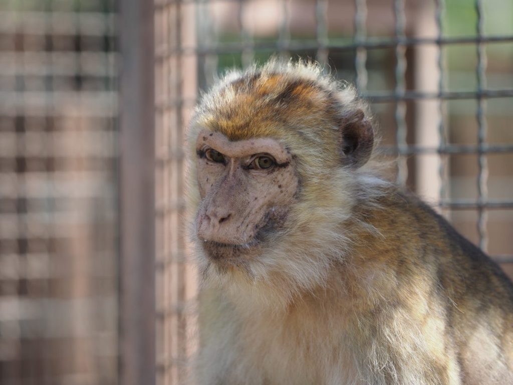 zoo erfurt