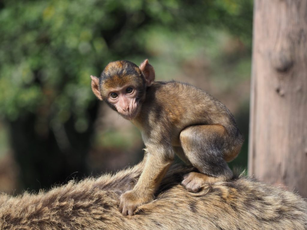 zoo erfurt