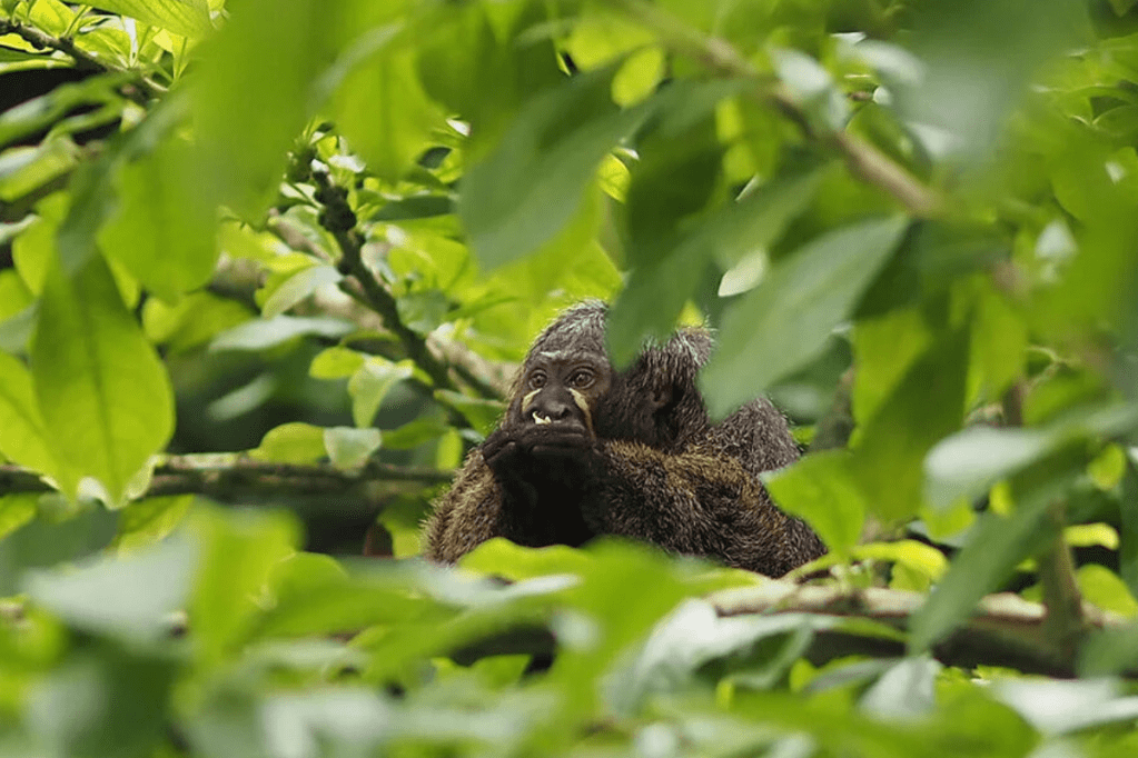 Zoo Leipzig