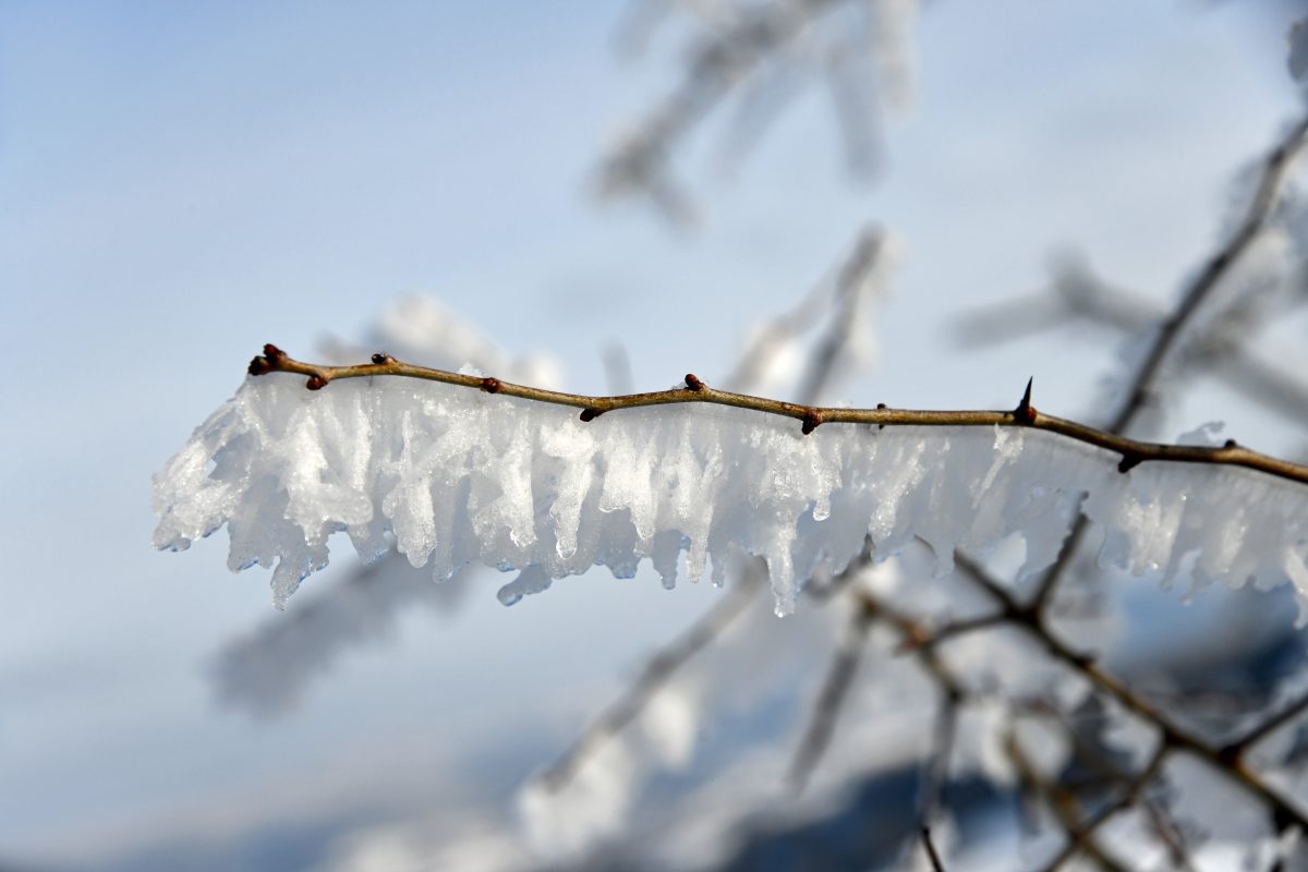 wetter thueringen