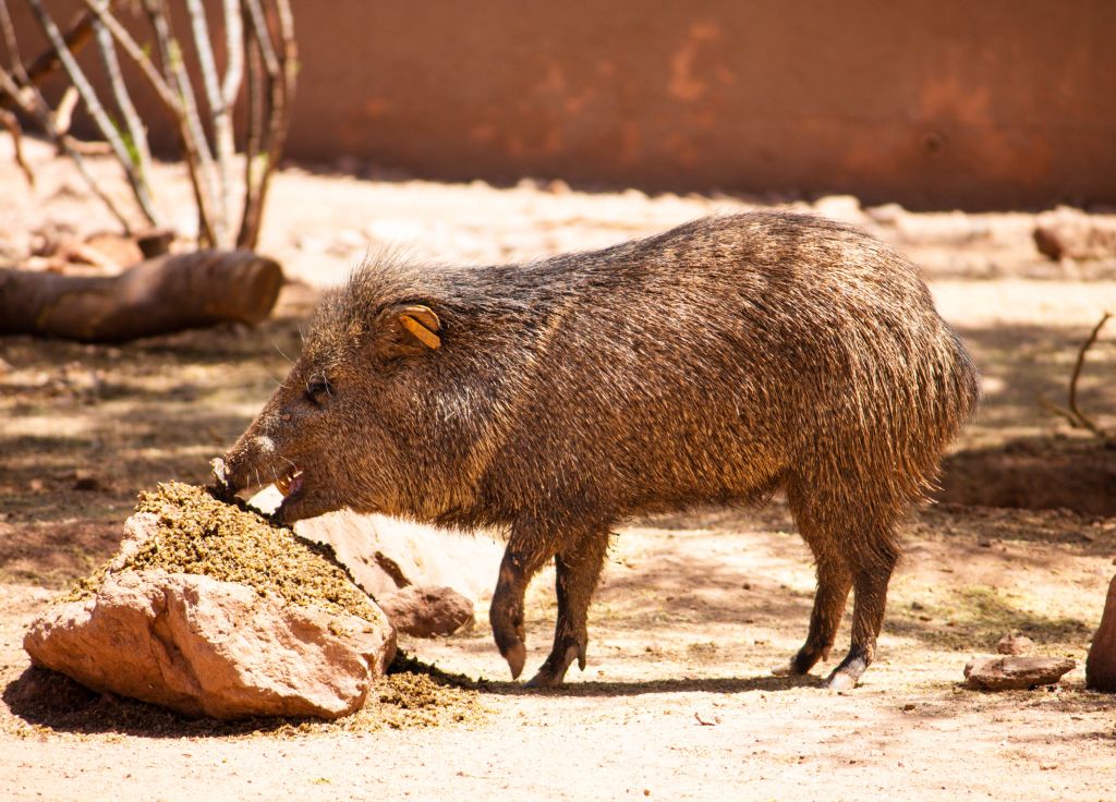 zoo leipzig