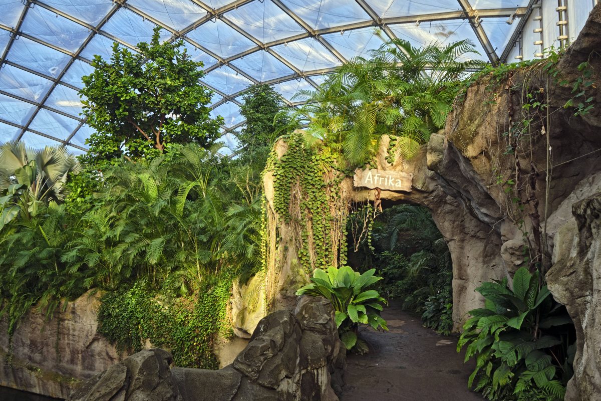 Das Gondwanaland im Zoo Leipzig.