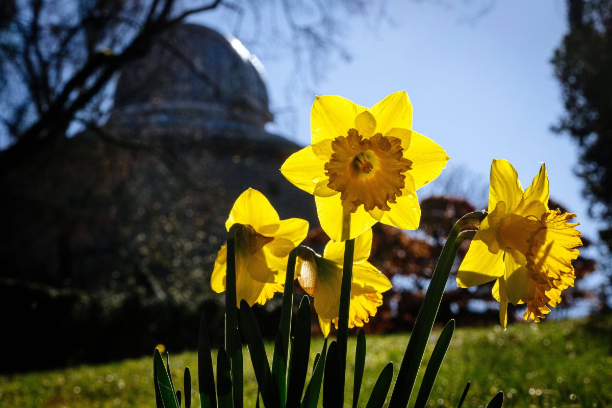 Der Frühling macht sich auch in Thüringen breit.