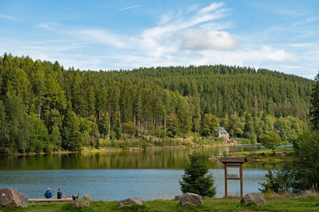 Blick auf die Lütsche Talsperre im Thüriner Wald 