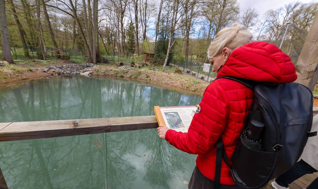 Eine Besucherin im Tierpark Fasanerie vor dem Ottergehege 