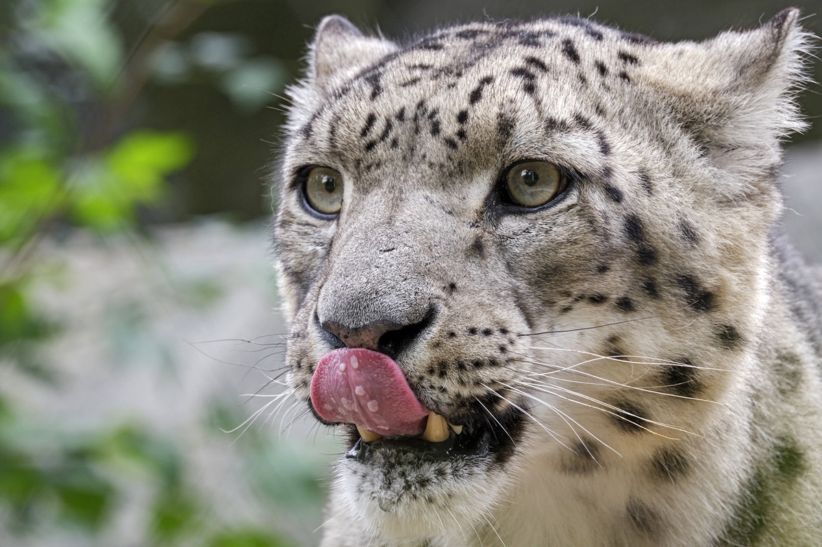 zoo-leipzig