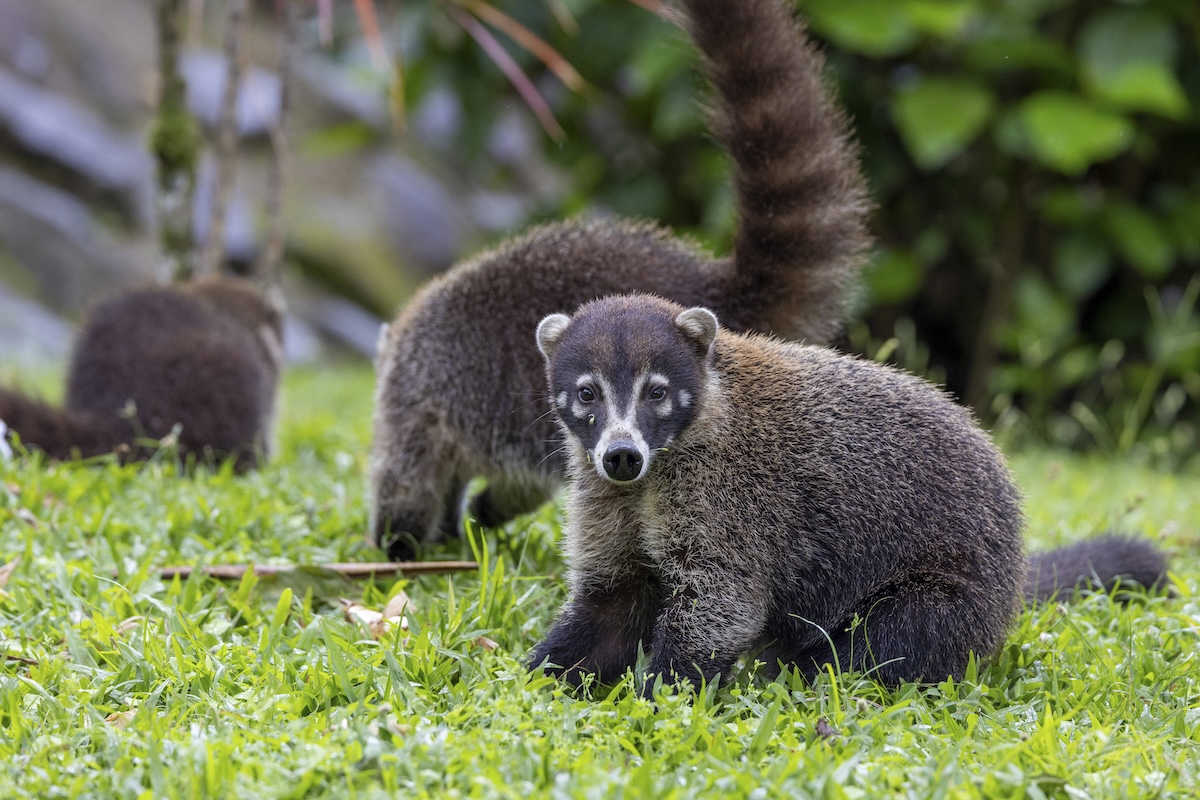 Zoo Leipzig