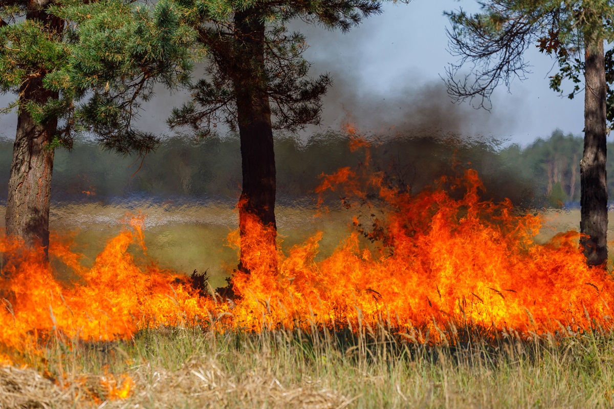 Feuer auf einem Truppenübungsplatz in Thüringen. (Symbolbild)