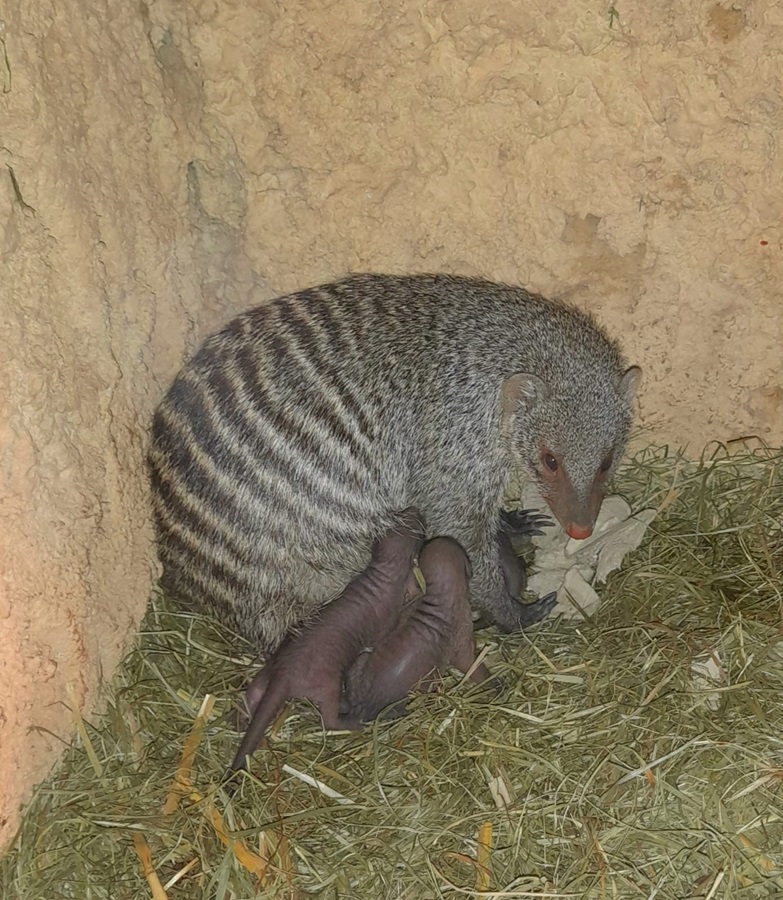 zoo-erfurt