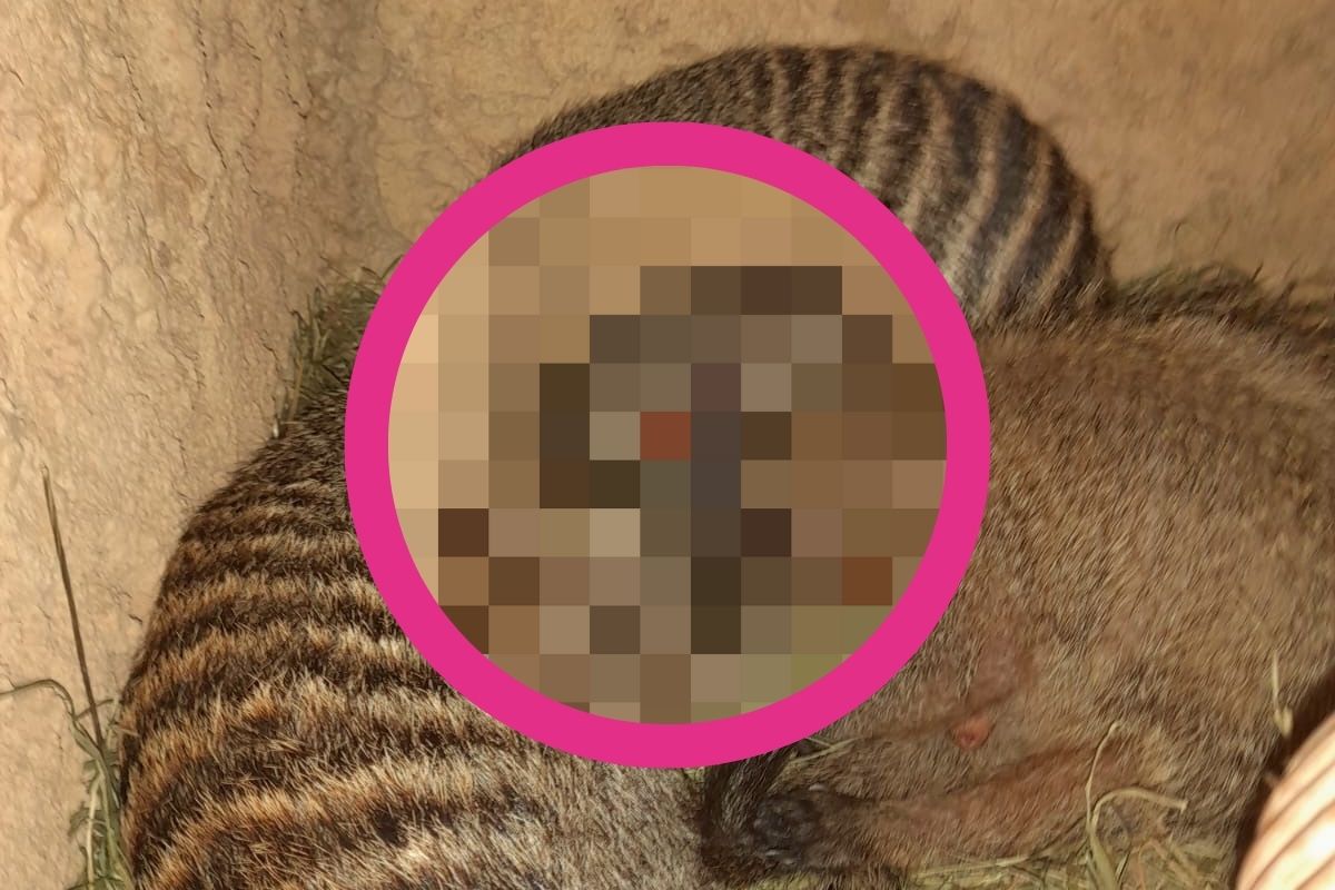 zoo-erfurt