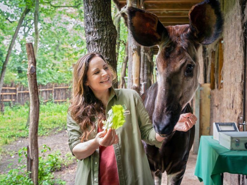 Zoo Leipzig: „Tierärztin Dr. Mertens“-Schauspielerin spricht Klartext – „Kein Verständnis“