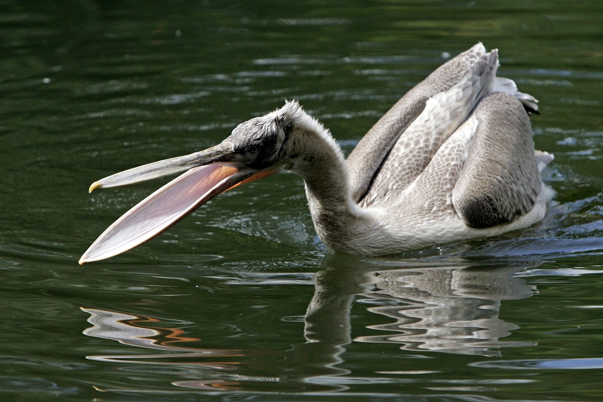 Zoo Leipzig